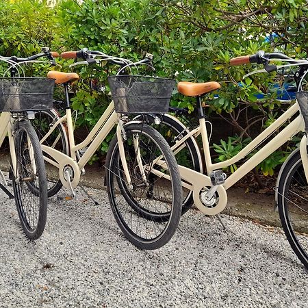 Ampio, Elegante Apt Con Aria Condizionata E Bici Gratis Viareggio Eksteriør bilde