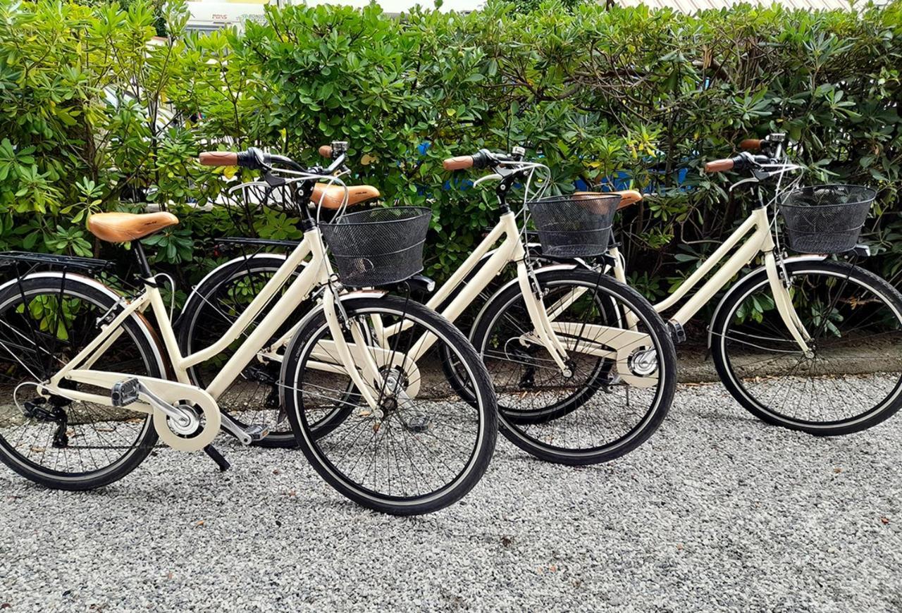 Ampio, Elegante Apt Con Aria Condizionata E Bici Gratis Viareggio Eksteriør bilde