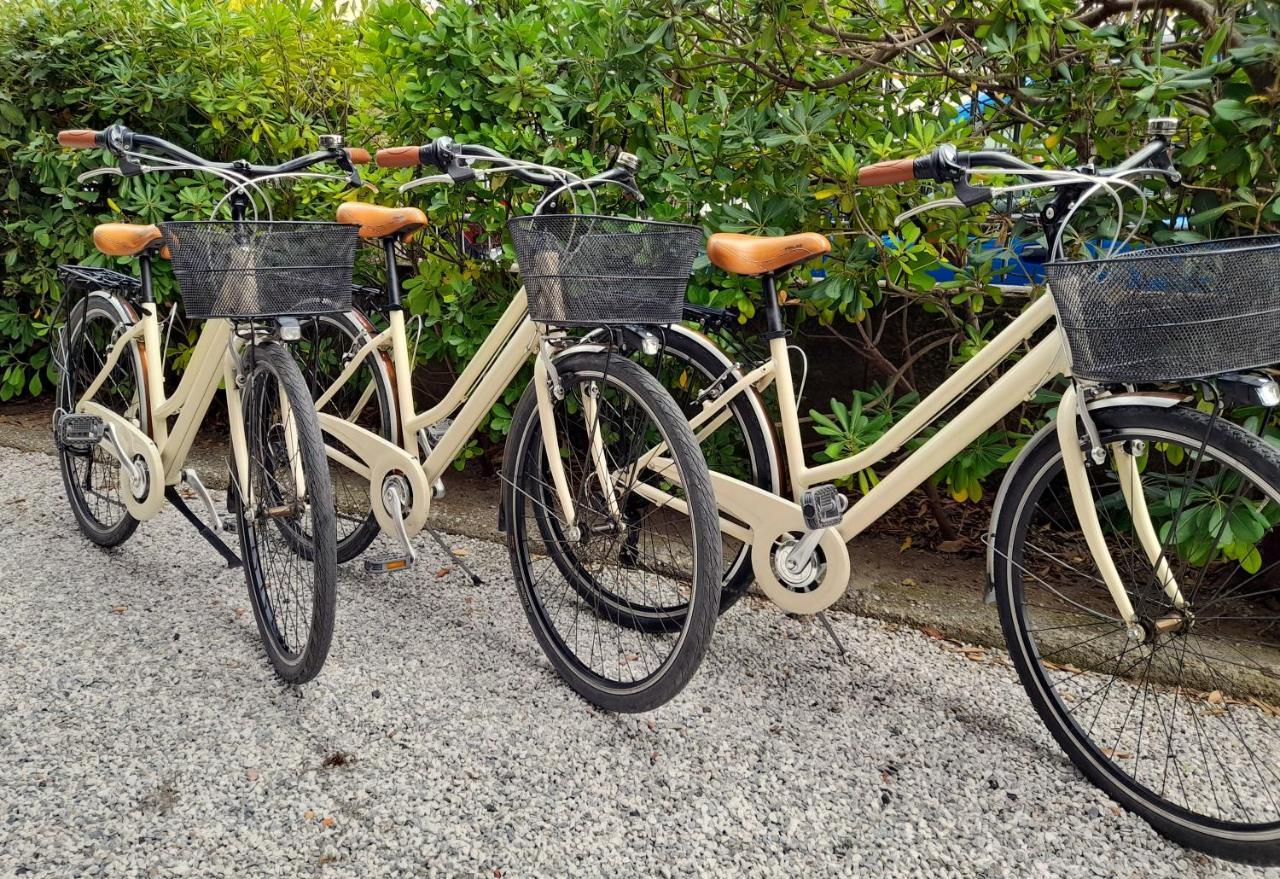 Ampio, Elegante Apt Con Aria Condizionata E Bici Gratis Viareggio Eksteriør bilde